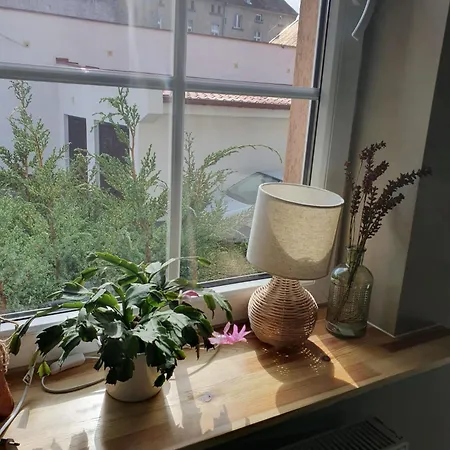 公寓 Z Tarasem Widok Na Jezioro - *